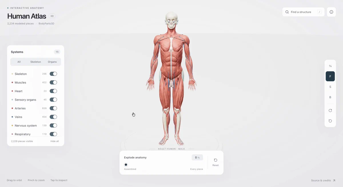 来源文章中的交互式 3D 人体解剖教材案例